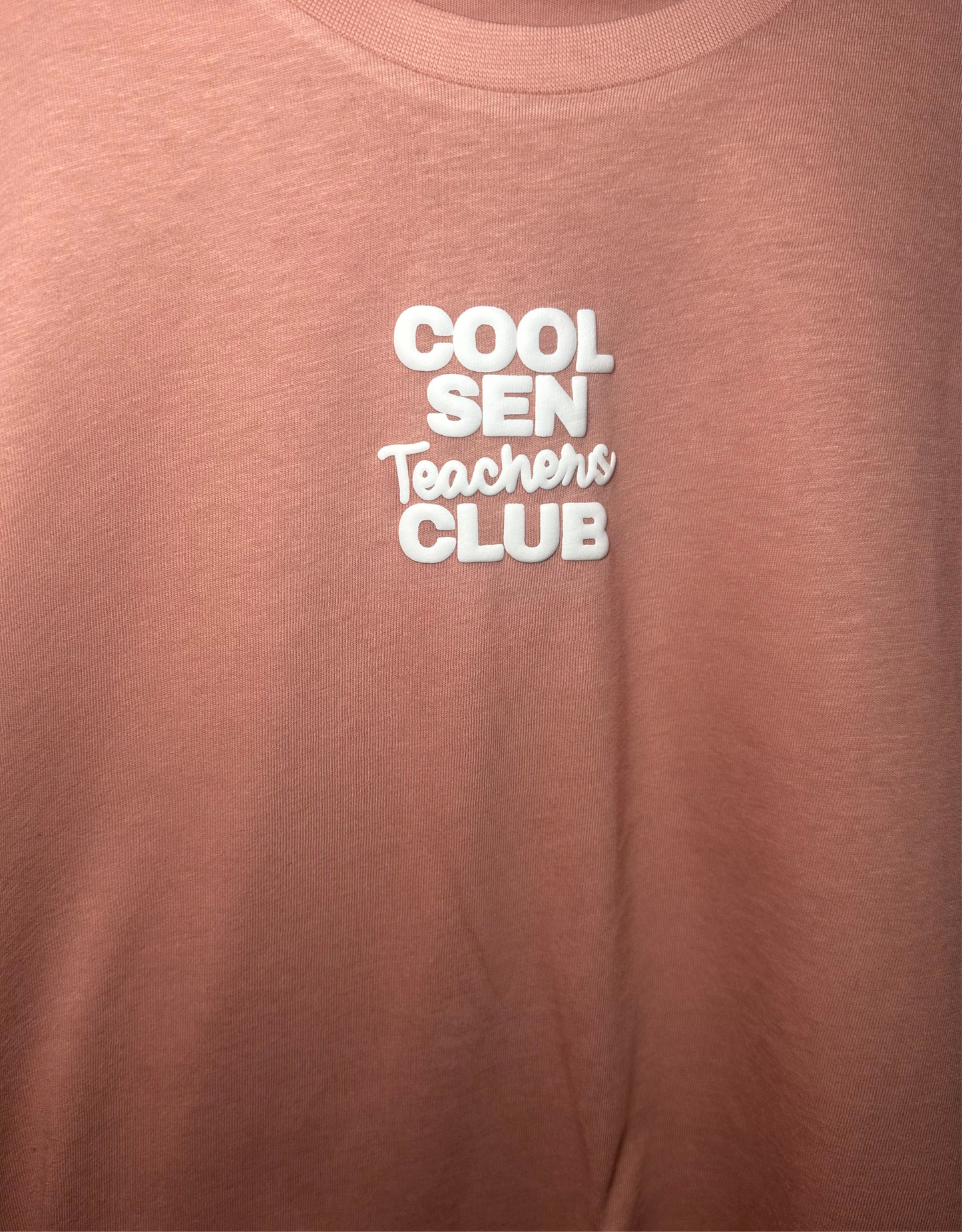 Adults Unisex ‘Cool SEN teachers club’ Fitted style Tee